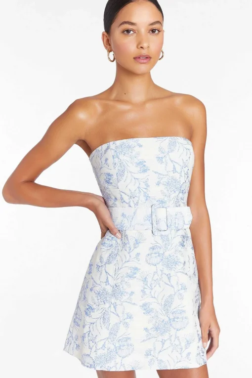 New Fae Dress In Toile Brocade Women Mini Dresses
