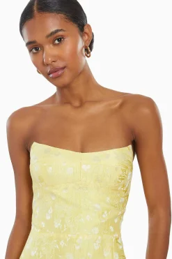 Outlet Ivy Dress Women Midi Dresses