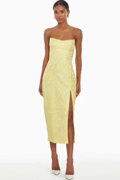 Outlet Ivy Dress Women Midi Dresses