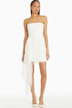 Hot Mandy Rose Dress Women Mini Dresses