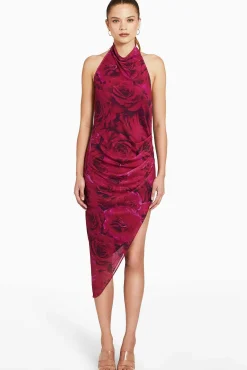 Flash Sale Samba Midi Dress In Printed Mesh Women Midi Dresses