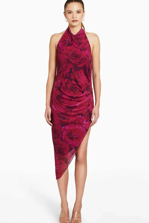 Flash Sale Samba Midi Dress In Printed Mesh Women Midi Dresses